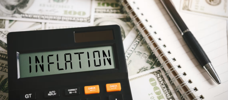 750×329 Miniatura web (3)